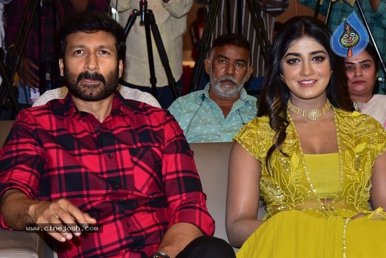 Rama Banam Press Meet - 5 / 21 photos