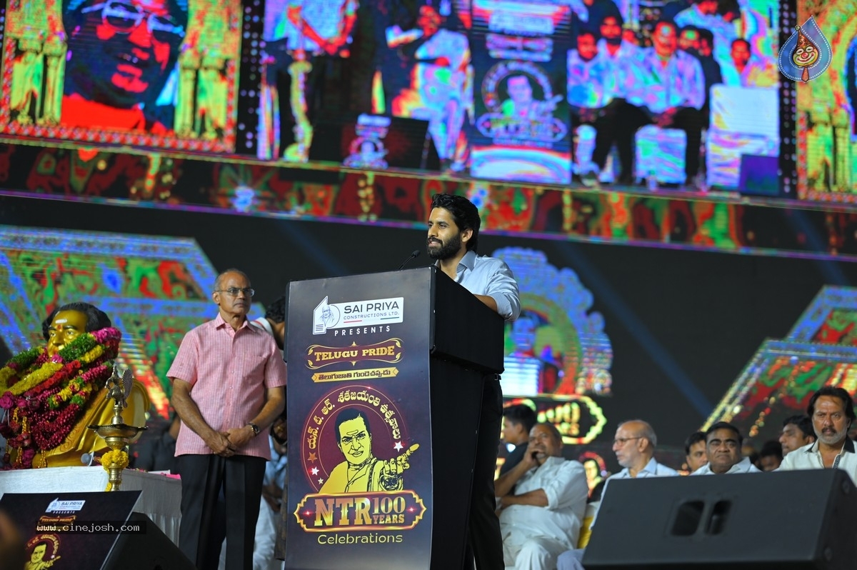 NTR centenary celebrations - 40 / 70 photos