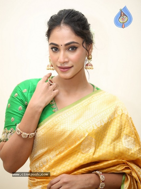 Anukreethy Vas Photos - 35 / 36 photos