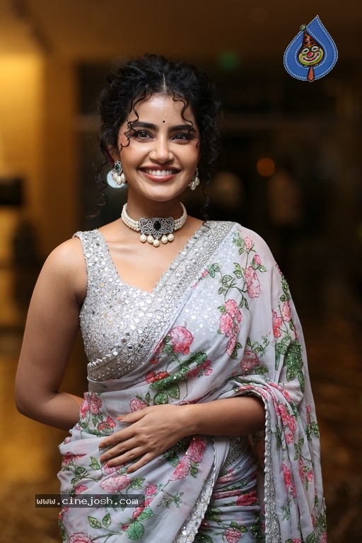 Anupama Parameswaran Photos - 10 / 11 photos