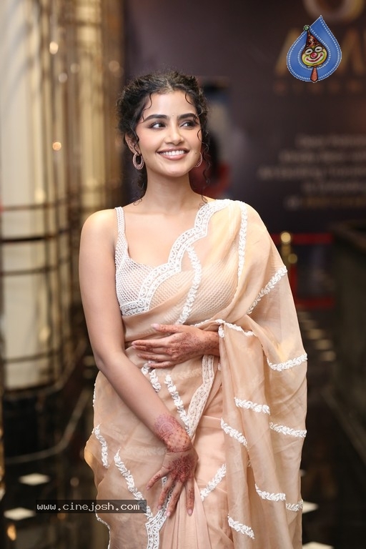 Anupama Parameswaran Photos - 13 / 19 photos