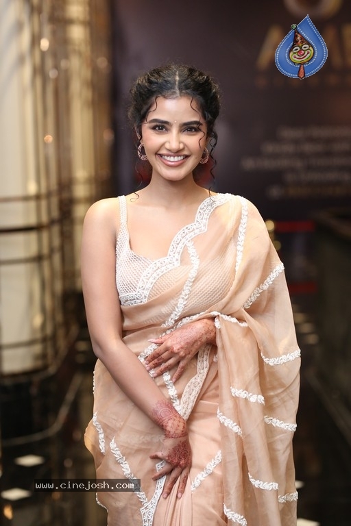 Anupama Parameswaran Photos - 14 / 19 photos