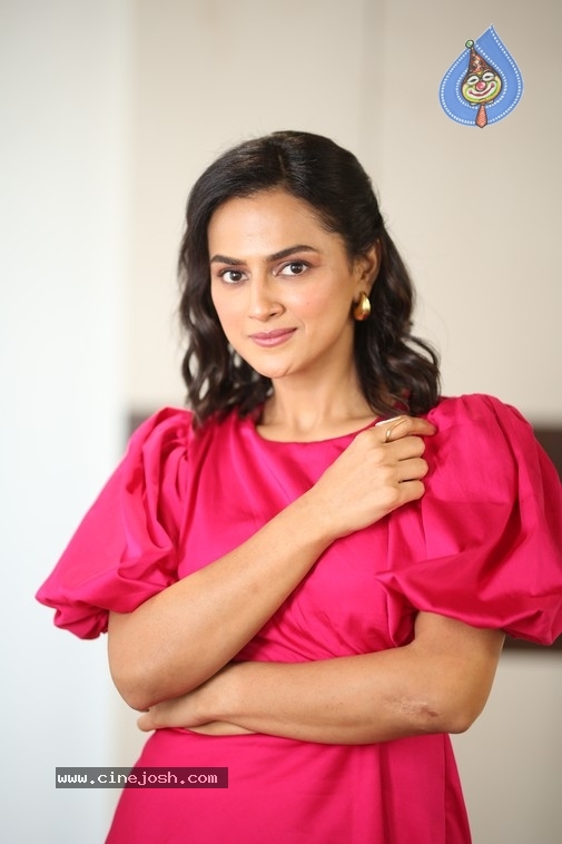 Shraddha Srinath Photos - 18 / 21 photos