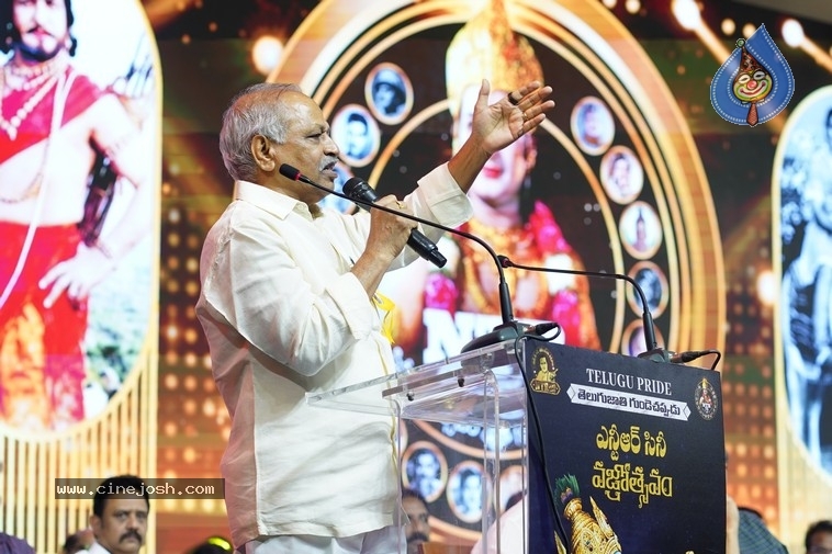 NTR Cine Vajrotsavam Celebrations - 33 / 58 photos