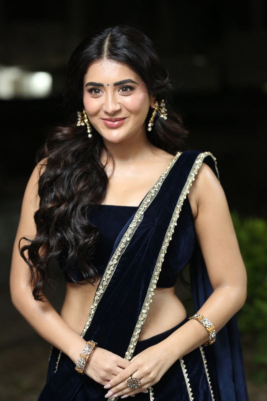 Rashi Singh Photos