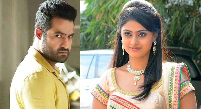 megha sri,jr ntr,aravinda sametha,veera raghava,3rd heroine  ‘అరవింద సమేత’లో మూడో హీరోయిన్ ఈమేనా?