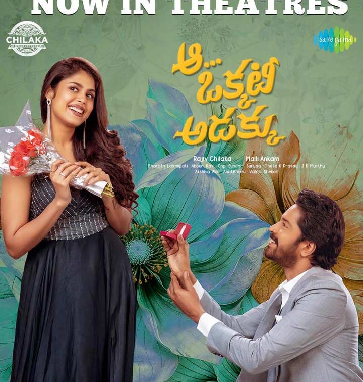 allari naresh  అల్లరోడు గట్టెక్కుతాడా.. 