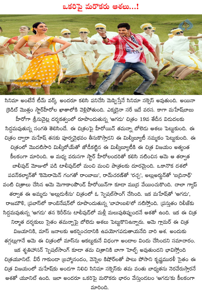 aagadu,maheshbabu,thamana,hopes on aagadu,producers,thamana,posani,aagadu movie result,aagadu thelugu movie,directer srinu vitla  aagadu, maheshbabu, thamana, hopes on aagadu, producers, thamana, posani, aagadu movie result, aagadu thelugu movie, directer srinu vitla