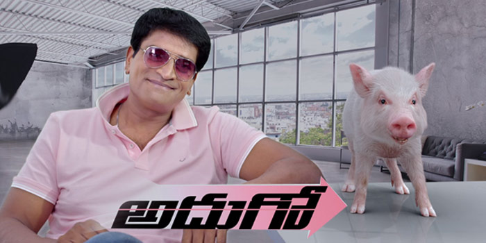 ravibabu,adhugo,movie,report  ‘అదుగో’ అలా ఉంది..?