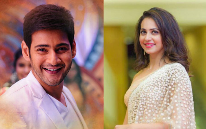 rakul preet singh,mahesh babu,spyder,vamsi paidipalli,rakul with mahesh  ఇంక మహేష్ ని వదలదా..!