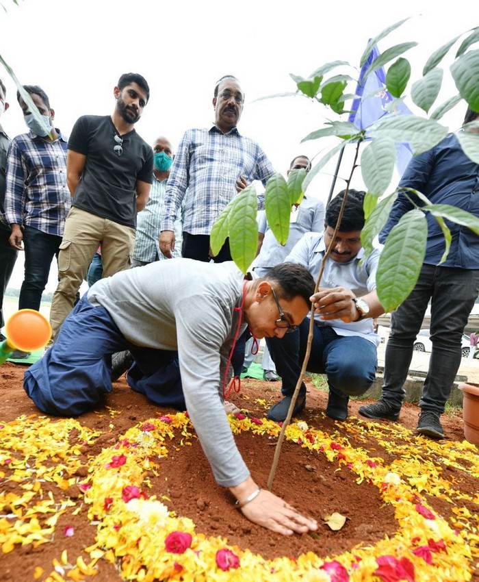 amir khan,naga chaitanya,participated,green india challenge  మొక్కలు నాటిన అమీర్ ఖాన్ అండ్ చైతు 