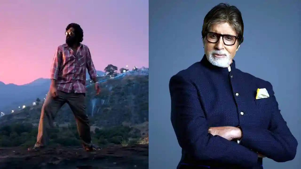 amitabh bachchan  పుష్ప పై అమితాబ్ ఇంట్రెస్టింగ్ కామెంట్స్ 