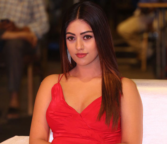 anu emmanuel,ram charan,boyapati,heroine chances  అను ఇమ్మాన్యుయేల్.. ఔరా అనిపిస్తుందిగా!