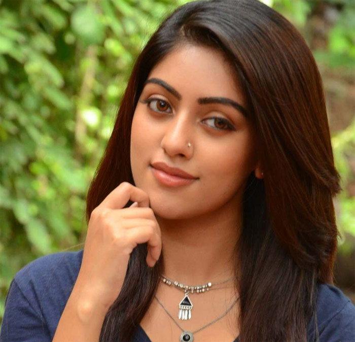 anu emmanuel,remuneration,naa peru surya movie  అను ఇమ్మాన్యుయేల్ కి సెటిల్ చేస్తారా?