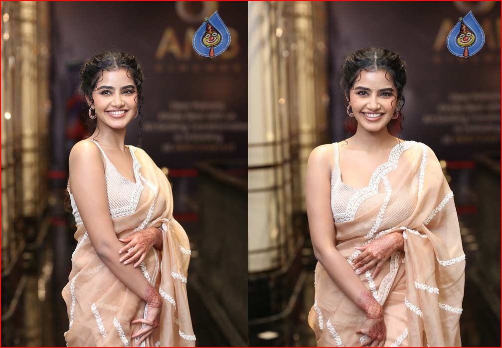 anupama parameswaran  అనుపమ ఆన్సర్ - అభిమానులు షాక్ 