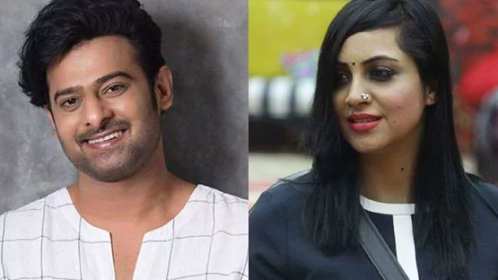 bigg boss 11,contestant,arshi khan,prabhas,movie,heroine  ప్రభాస్‌ సరసన ఆమె? ఆధారాలు చూపిస్తోంది....! 