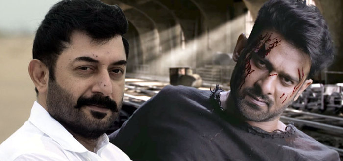 arvind swamy,saaho,aravind swamy,dhruva villain,prabhas vs aravind swamy,aravind swamy in saaho,saaho villain  'సాహో' కి విలన్ సెట్టయినట్టేనా...?