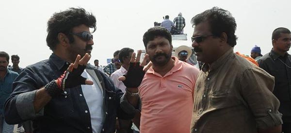 balakrishna,lion movie,telangana,ceded,nbk  తెలంగాణలో బాలయ్య వీకే!