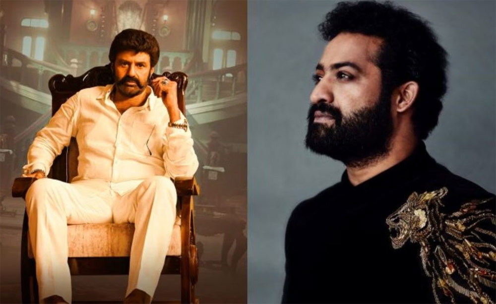 balakrishna,jr ntr,cbn arrest,i do not care,fans  ఎన్టీఆర్ ఫాన్స్ vs బాలయ్య ఫాన్స్