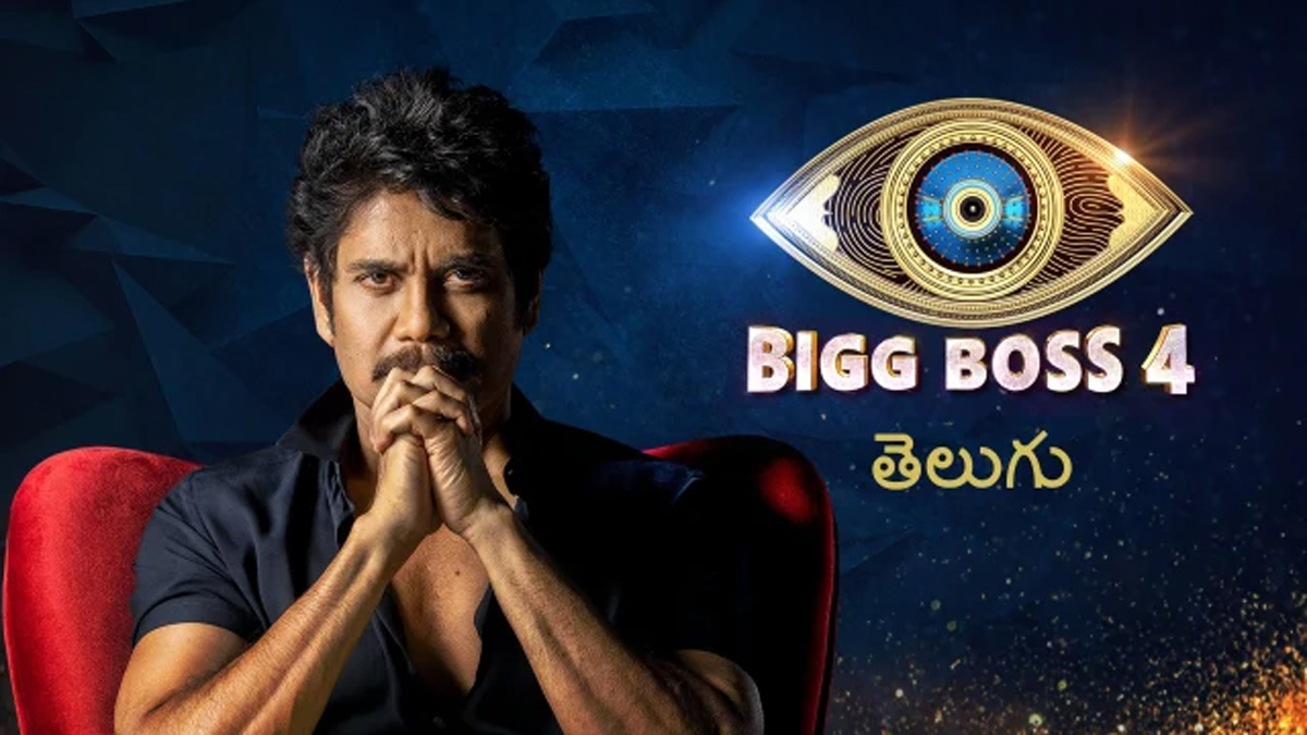 bigg boss 4,harika,monal,ariyana,danger zone  డేంజర్ జోన్ లో ఆ ముగ్గురు..?