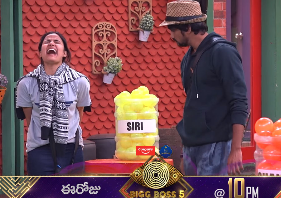 sunny,bigg boss telugu,bigg boss,siri,shanmukh,bigg boss 5  బిగ్ బాస్ 5: విలన్ ని చెయ్యడానికి రెడీగా ఉంటావ్ 