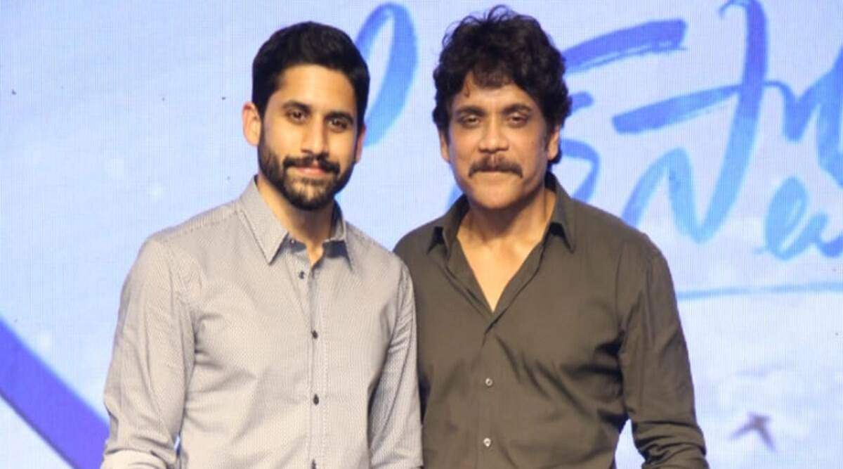 nagarjuna,brahmastra,naga chaitanya  తండ్రికొడుకులకి కోలుకోలేని షాకే 