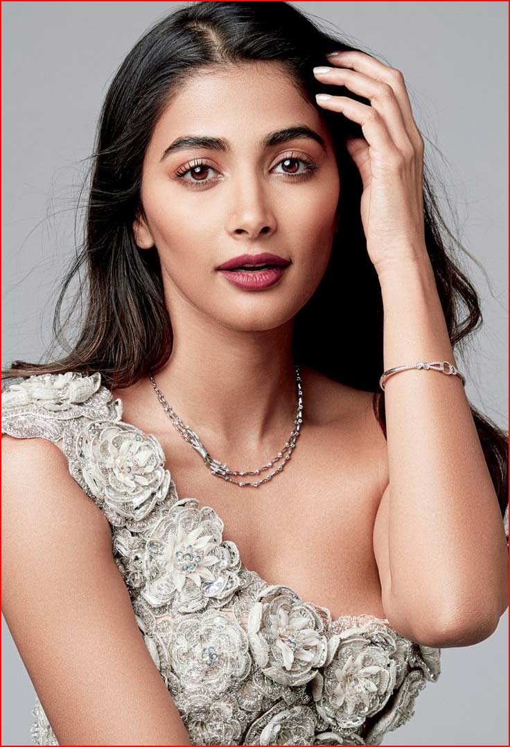 pooja hegde  పూజ హెగ్డేకి బంపర్ ఆఫర్