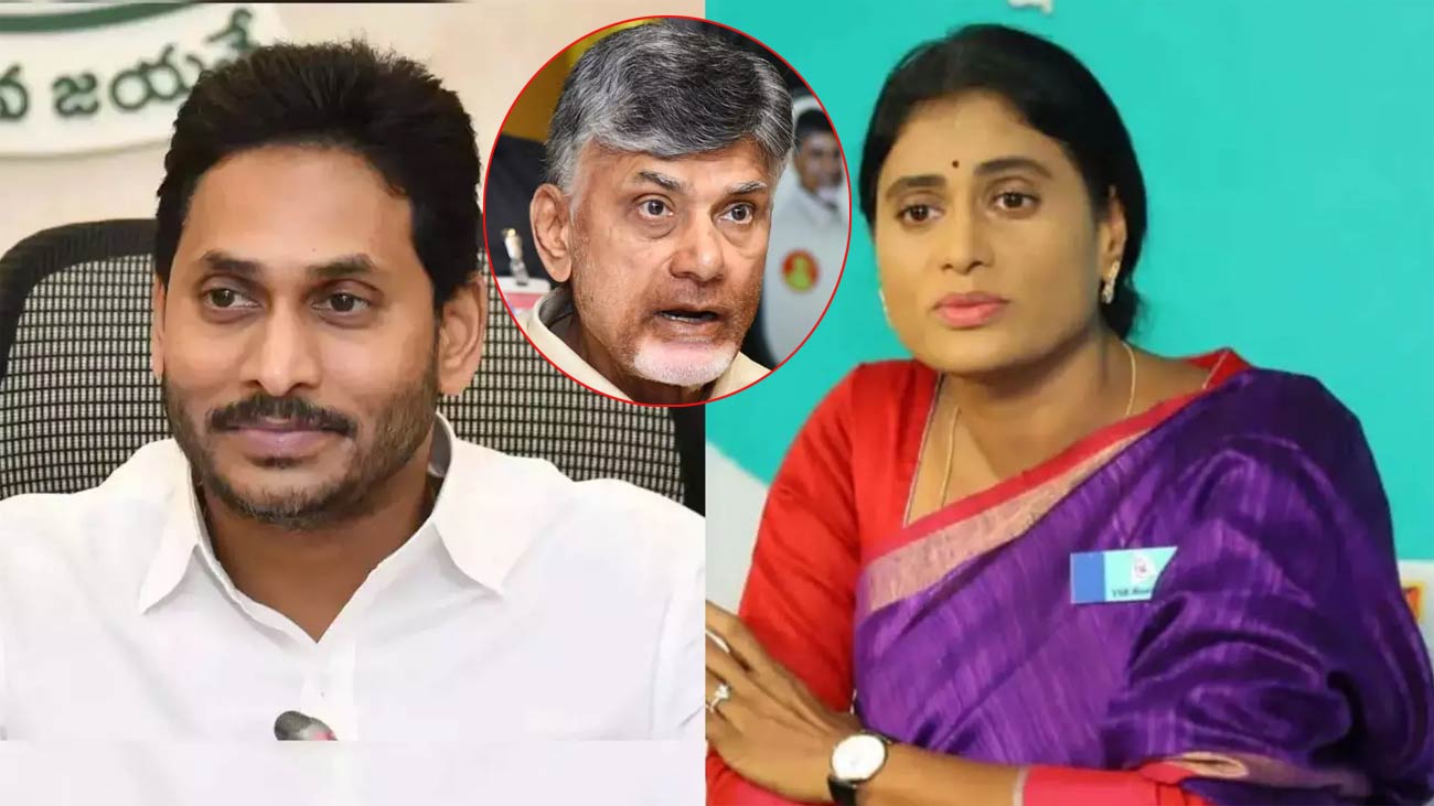 jagan  జగన్ vs షర్మిల మధ్యలో బాబు