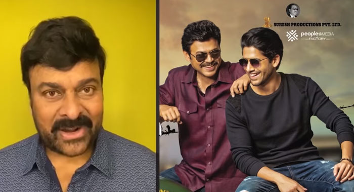 chiranjeevi,praises,venky mama movie,venkatesh,naga chaitanya,bobby,mega family  ‘వెంకీమామ‌’పై చిరు ప్రశంసలు