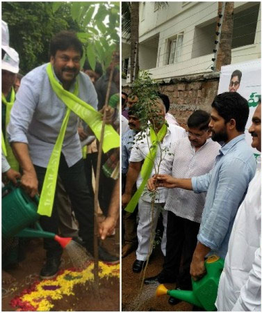 chiranjeevi,allu arjun,haritha haram,congress,trs  చిరు వేరు..అల్లు అర్జున్ వేరు!! 