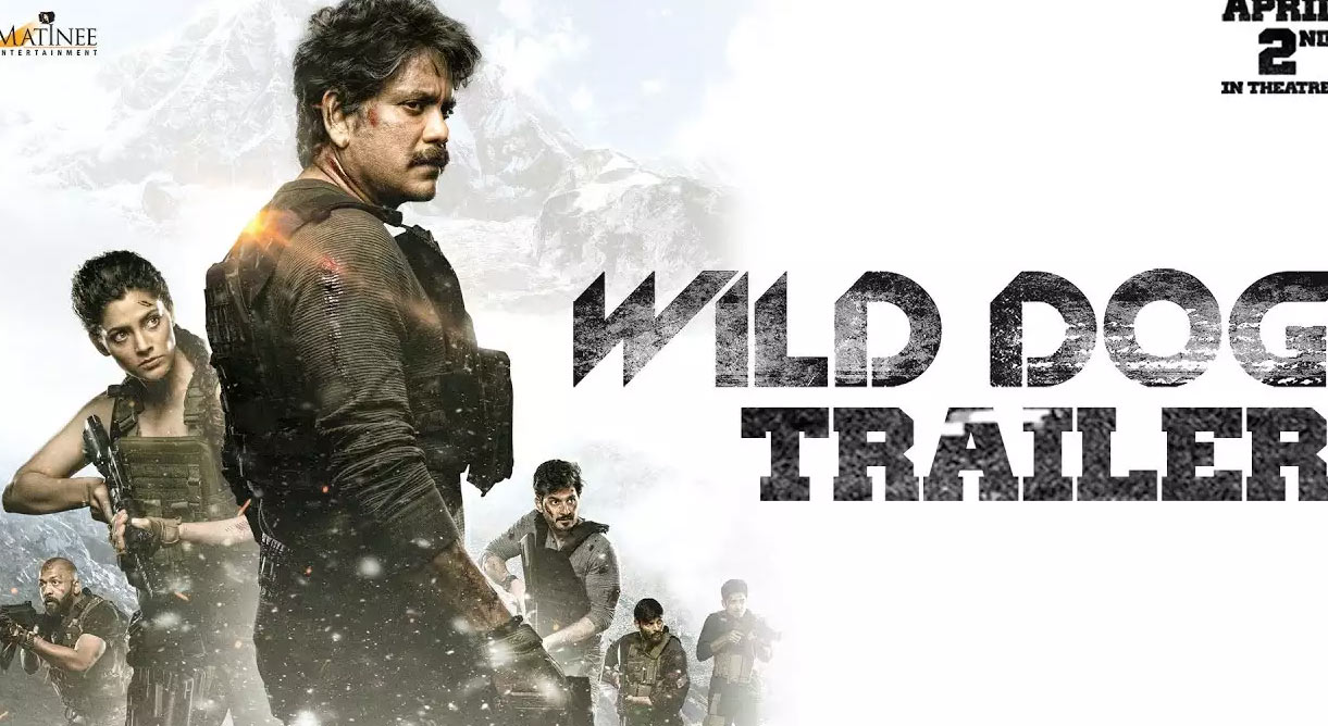 wild dog movie,nagarjuna,nag wild dog,wild dog collections,poor openings  నాగ్ అనుకున్న హిట్ దక్కిందా?