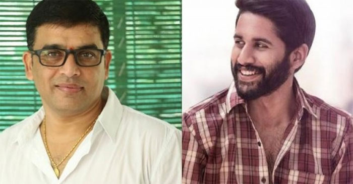 dil raju,naga chaitanya,majili,venky mama,fans,promise  ఈసారి ‘జోష్’ అవ్వదని మాటిస్తున్నాడు..? 