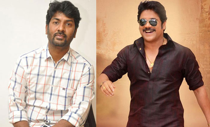 kalyan krishna,raviteja,nagarjuna,soggade chinni nayana  ఈ దర్శకుడికి.. సోగ్గాడే శాపం అయ్యిందా?