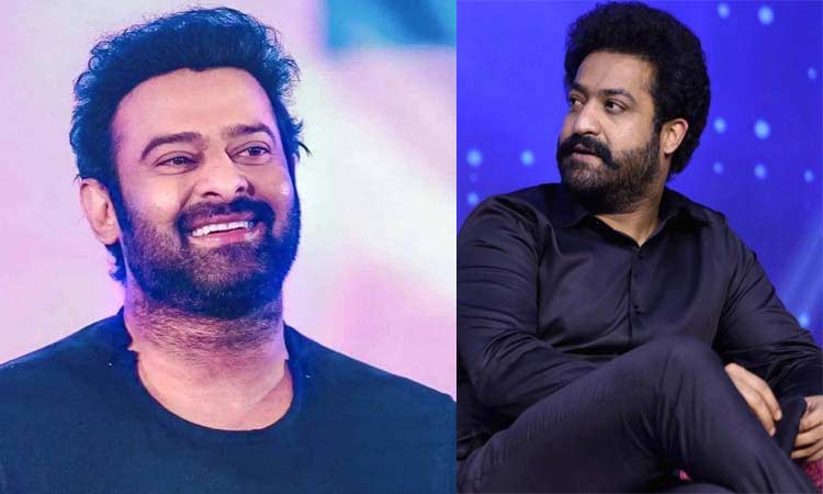 ntr  ప్రభాస్ వల్ల ఇరకాటంలో ఎన్టీఆర్ ఫాన్స్ 