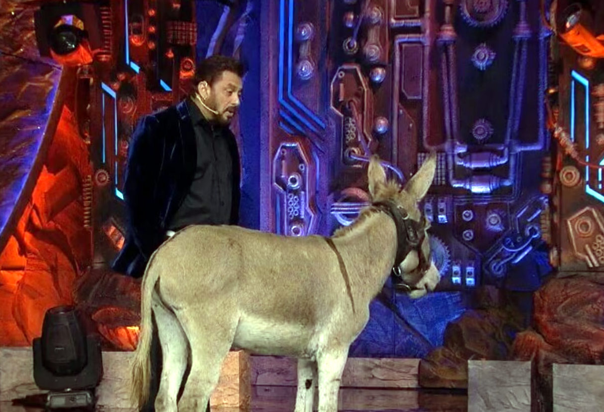 donkey,bigg boss 18,salman khan,peta  ఆ గాడిదను పంపేశారు