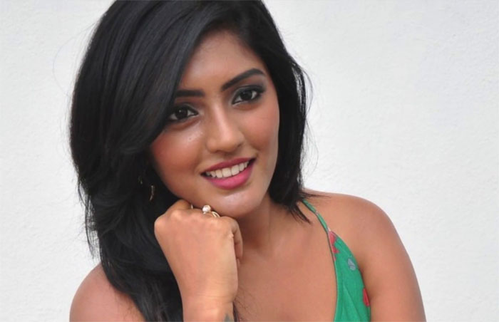 eesha rebba,jr ntr,aravinda sametha,praises  కుర్ర హీరోయిన్ ఎన్టీఆర్ ని ఆకాశానికెత్తేస్తుంది!