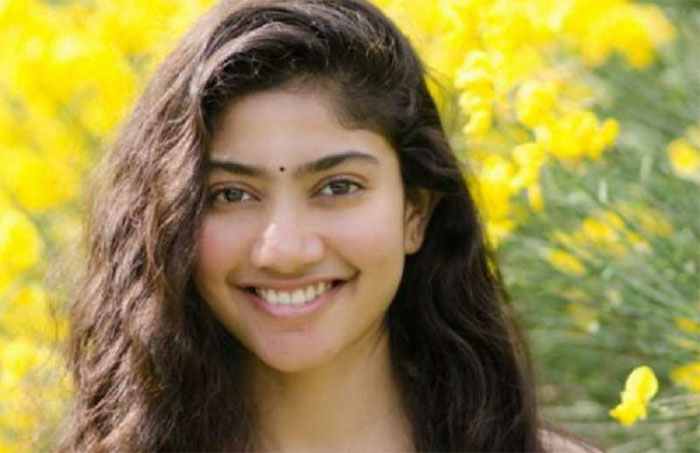 sai pallavi,fidaa movie,mahesh babu,next movie,heroine  మహేష్‌ అనగానే ‘ఫిదా’ అయినట్లుంది! 