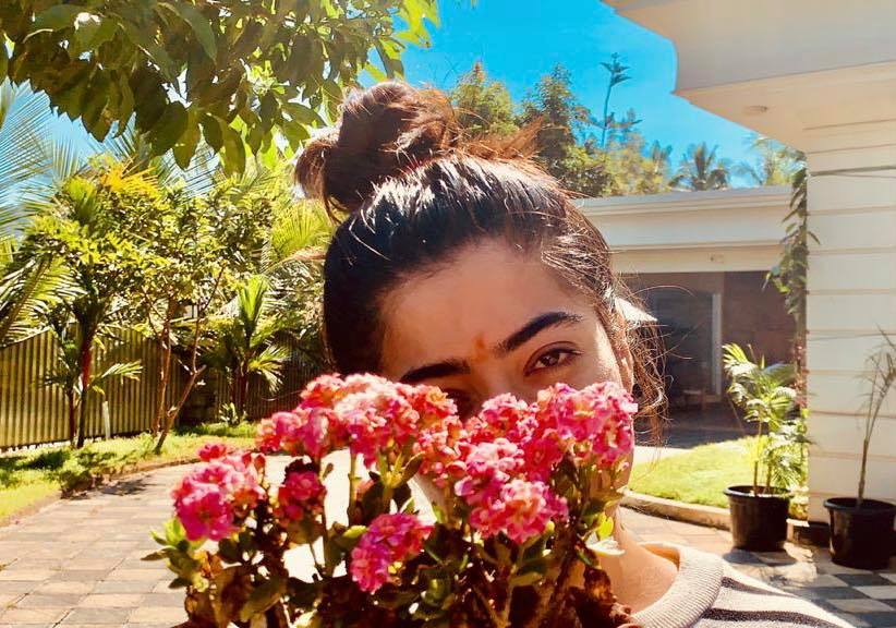 rashmika mandanna,rashmika,rashmikalatest news,flower boke,rashmika photos,rashmika images  ఫ్లవర్ బ్యూటీ రష్మిక