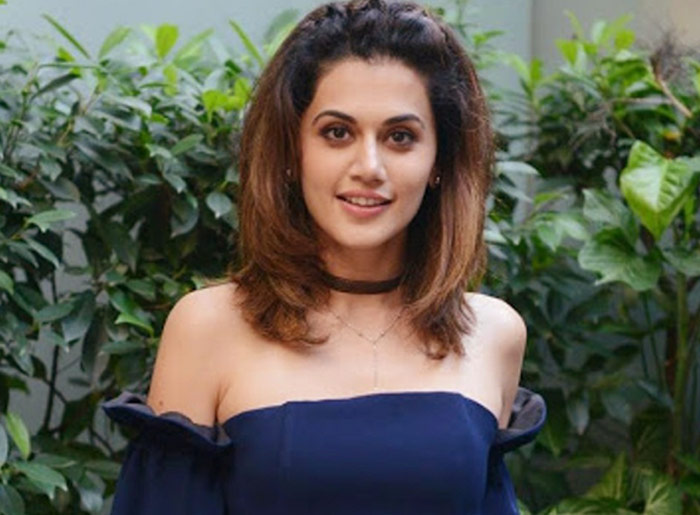 tapsee pannu,role,highlight,neevevaro  తాప్సి కేకంటున్నారు..!