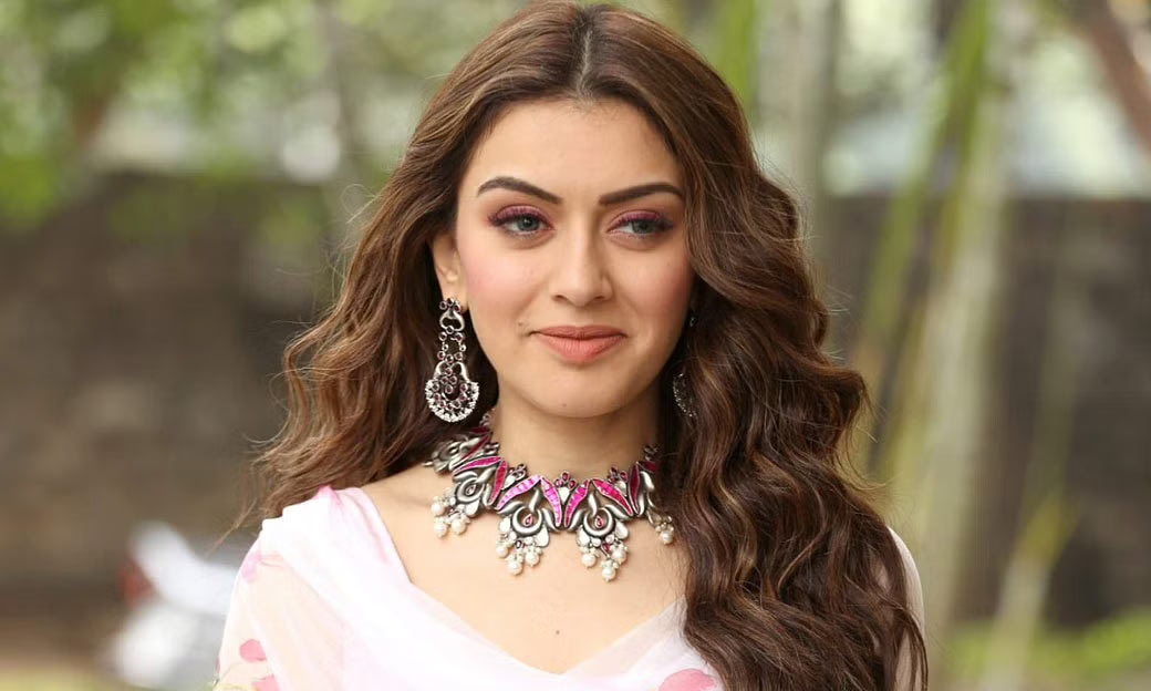 hansika,december,  హన్సిక సీక్రెట్ వెడ్డింగ్