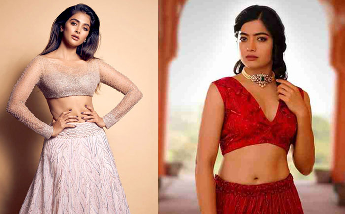 sankranthi fight,pooja hegde,rashmika mandanna,allu arjun,mahesh babu,sarileru neekevvaru,ala vaikunthapurramloo  ఇక్కడ యుద్ధం మహేష్, బన్నీలదే కాదు..!