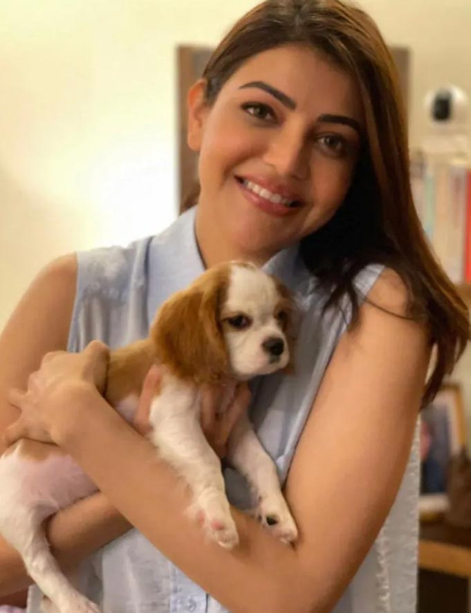 kajal aggarwal,kajal welcomes third person,kajal husband,kajal  కాజల్ శుభవార్త చెప్పేసింది