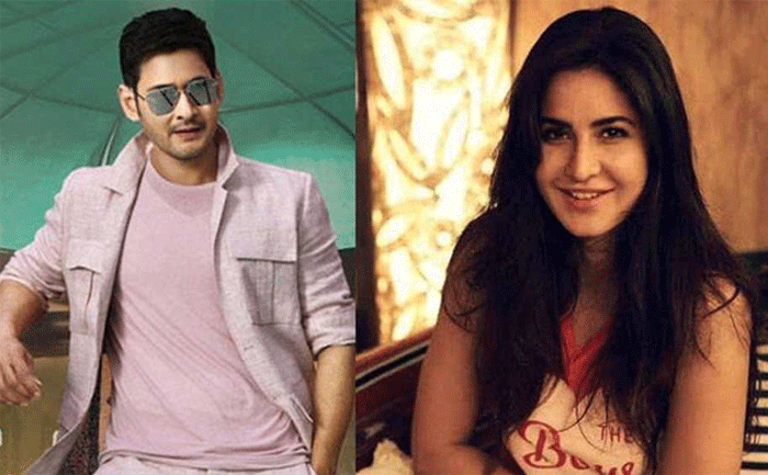 katrina kaif,clarity,mahesh babu,sukumar,movie  కత్రినా సరే.. మహేష్‌ ఒప్పుకుంటాడా? 