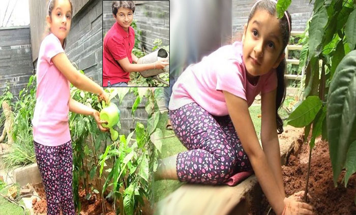 sithar,gautham krishna,green challenge,mahesh babu kids,harithaharam  మహేష్ కూతురు, కొడుకు చాలా స్పీడండోయ్!