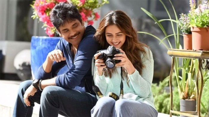 nagarjuna,rakul,manmadhudu 2,hopes,holidays  ‘మన్మథుడు 2’ ధీమా ఇదే!