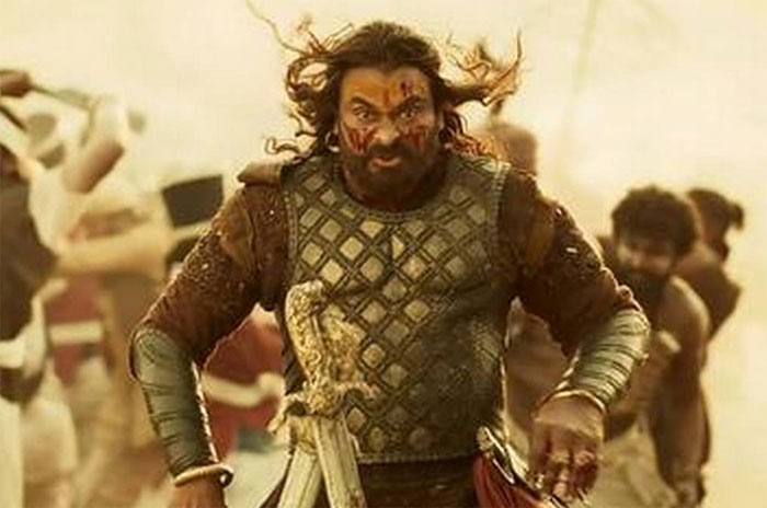 sye raa narasimha reddy,minus points,teaser,chiranjeevi,voice and hair,sye raa  ‘సైరా’ విషయంలో అభిమానుల టెన్షన్ అందుకే!