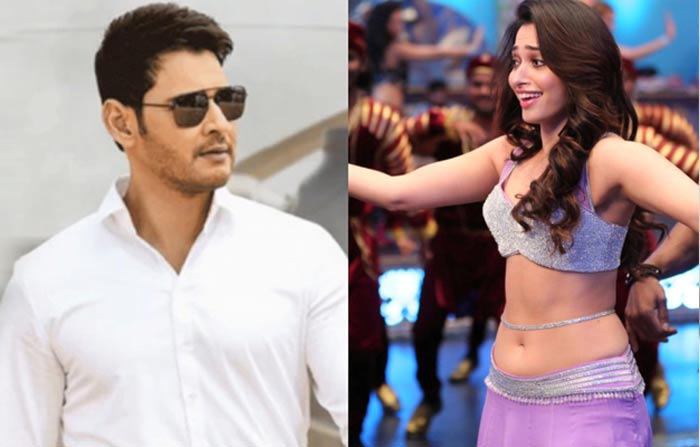 milk beauty tamannah,romance,mahesh babu,sarileru neekevvaru  మహేశ్‌తో తమన్నా స్టెప్పులు.. గట్టిగానే పారితోషికం!