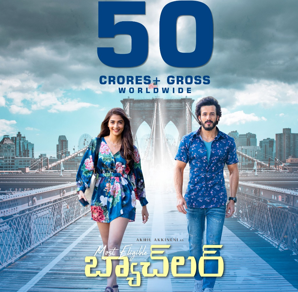 akhil,pooja hegde,most eligible bachelor movie,akhil most eligible bachelor movie,most eligible bachelor 2 weeks collections  మోస్ట్ ఎలిజిబుల్ బ్యాచిల‌ర్ 2 వారాలు క‌లెక్ష‌న్స్‌