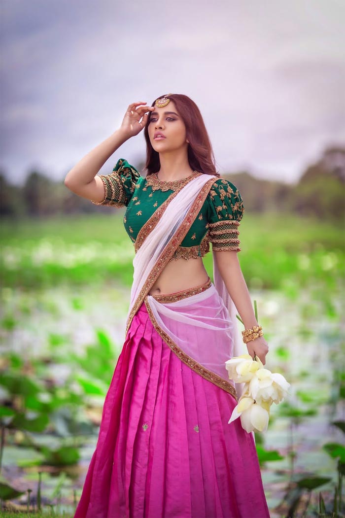 nabha natesh,nabha natesh latest photos,nabha natesh new look,nabha natesh half saree look