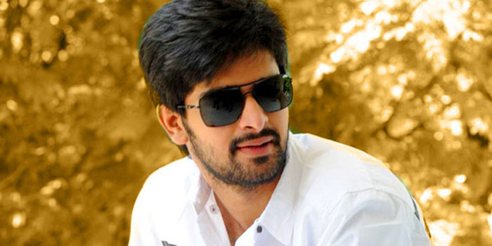 niharika,marriage,naga shourya,rumors  నిహారికతో పెళ్లిపై యంగ్‌ హీరో క్లారిటీ! 